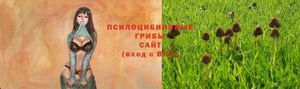 молекула духа Абдулино