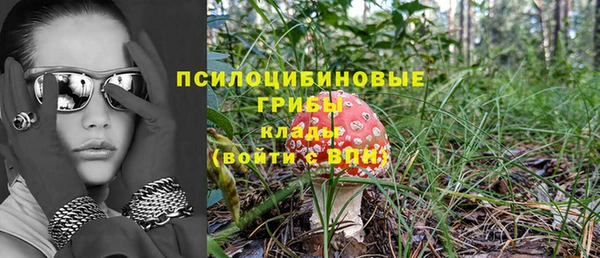 молекула духа Абдулино