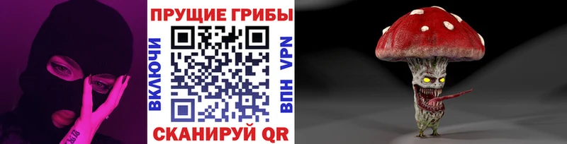 гидра онион  мориарти как зайти  Галлюциногенные грибы Psilocybine cubensis  Юрга 