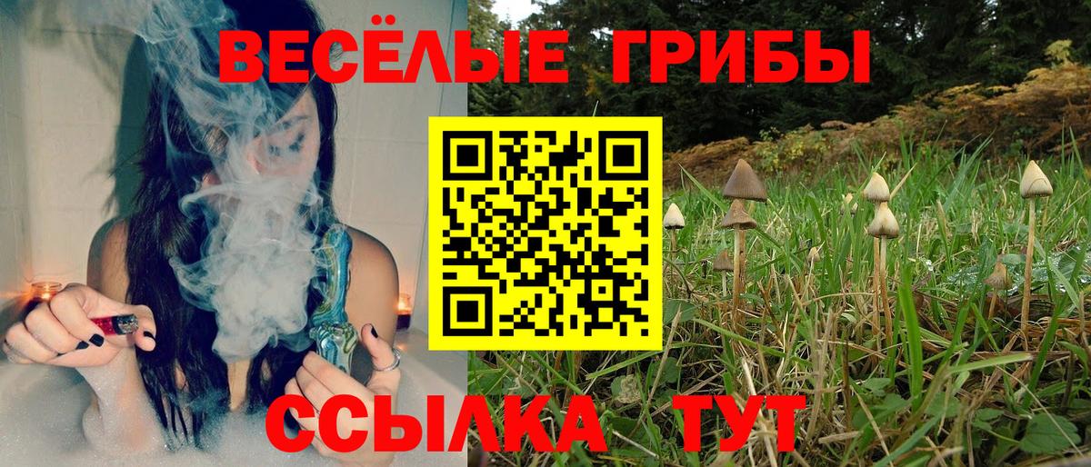 Псилоцибиновые грибы мицелий  Вход с VPN  Юрга 